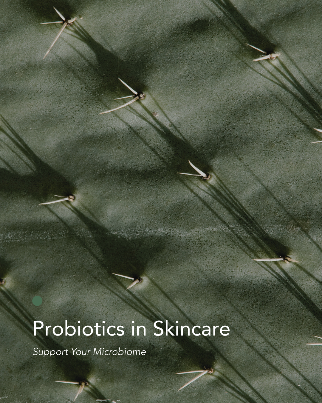 The Skin Microbiome: Protect and Balance Your Skin’s Natural Barrier