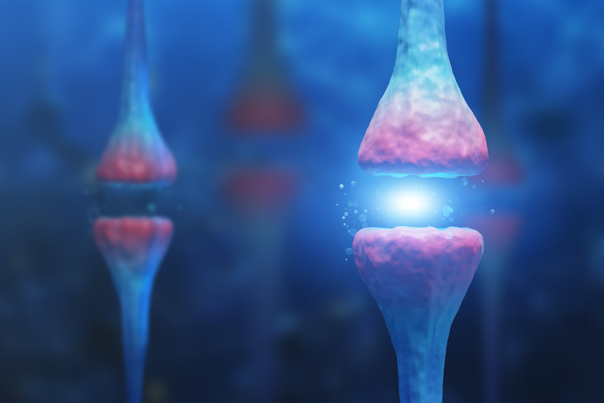Neurocosmetics: The Future of Skincare with TiMOOD™ and Melatonin Lipo